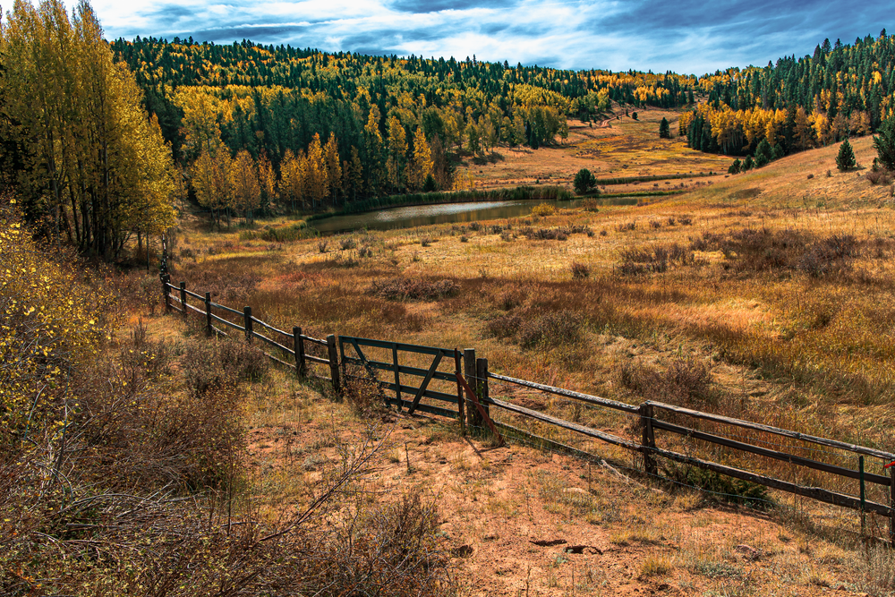 Autumn Serenity - Tranquil Colorado Landscape Photography