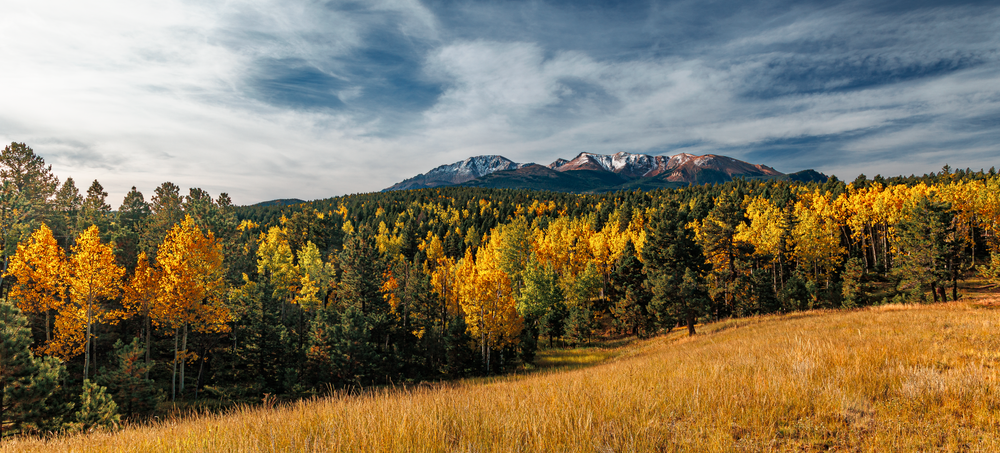 Autumn's Embrace - Vibrant Colorado Landscape Photography