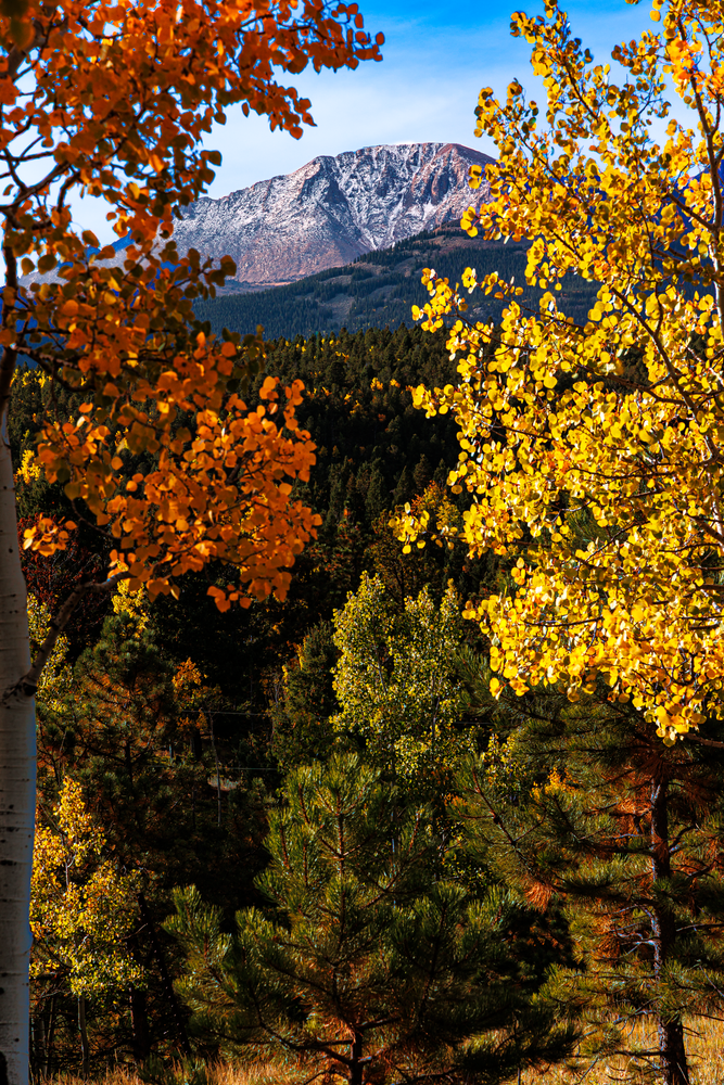 Autumn's Embrace - Vibrant Colorado Landscape Photography