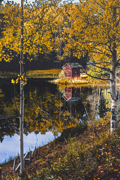 Autumn Reflections - Serene Colorado Landscape Photography
