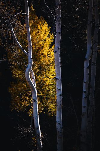 Mdawmdawmdawmdaw7qgraepd6cacehr zcfbfywxu2fyveayeunrgwctqqqltnerwweter6yomfiojy24adow ljj7f22f2vd2s3k0fn 38ezqodftc2xeuhdjufahdziomokxodj3hs jg da6ji5eudq olwagpj5emn4zjc3dpiojvwksrjpx1eb3owtxrzfhzqukovfprz4eyot69uklxf8p fn4eod7y2cd267plag9wuxwsb3 frtg7cd1us swvi zmb2lrs3ltwwqo8gdy u x8rzjhrrbnjor5i b9rg 8n qhhay2m691bpkmmwl1tuepa enig8svczb 6pdd1q9lct 1sriollwduiol