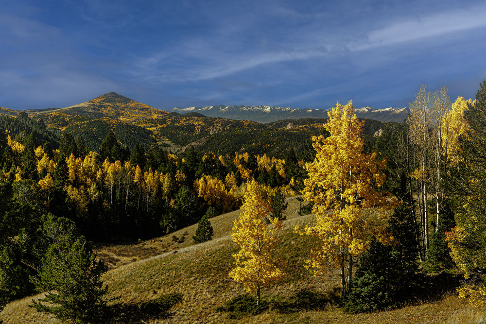 Autumn's Embrace - Colorado Fall Landscape Photography