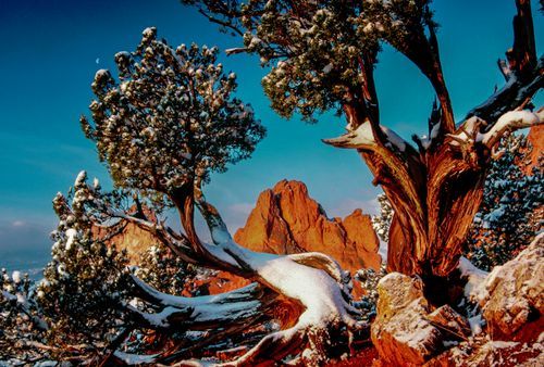 Mdawmdawmdawmdaw7qgraepd6cacehr zcfbfywxu2fyveayeunrgwctqqqltnerwweter6yomfiojy24adow ljj7f22f2vd2s3k0fn 38ezqodftc2xeuhdjufahdziomokxodj3hs jg da6ji5eudq olwagpj5emn4zjc kpiojvwkouixnw rsjqfasyly2bqmc76qeqkfw4r naphhqxlqpi5sblg1hfpmpyxcle8tamb5gdicayxsfn8hi3uxo1ylcaghw18gyxvemttxy6c4drfzne5rv49dbdzs0ihba1q7hrvlcq45dfb7fspxb1xd2noc1yyfbq9egp0knmzqtecqq