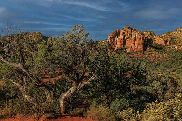 Sedona Vibrations - Arizona Landscape Photography