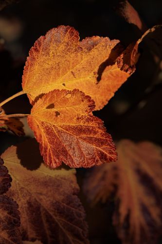 Mdawmdawmdawmdaw7qgraepd6cacehr zcfbfywxu2fyveayeunrgwctqqqltnerwweter6yomfiojy24adow ljj7f22f2vd2s3k0fn 38ezqodftc2xeuhdjufahdziomokxodj3hs jg da6ji5eudq olwagpj5emn4zjs3fpiojvwksrjpx1eb3owtxrzenz9ojup qqibfmckvza9qhwlnruxxfod7zx1lhpr9l onta8u4q ibbhy 8fouj2ekcyrnye gra3z4wvw8bvwwhrtnaknncovl4rdbvmvqdlu cpskmndcr1uyufqftkaek1ghajqkcqrkxnxjp4nislwpewdxr3ija2qa