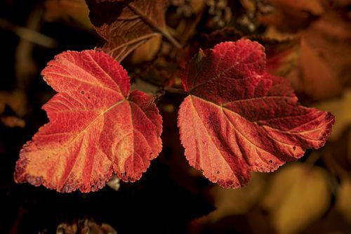 Mdawmdawmdawmdaw7qgraepd6cacehr zcfbfywxu2fyveayeunrgwctqqqltnerwweter6yomfiojy24adow ljj7f22f2vd2s3k0fn 38ezqodftc2xeuhdjufahdziomokxodj3hs jg da6ji5eudq olwagpj5emn4zjs3fpiojvwksrjpx1eb3owtxrzenz9ojup qrobhhcc70fvqhwlnruxxfodxwh1lhpr9l onta8u4q ibbhy 8fouj2ekcyrnye gra3z4wvw8bvwwhrtnaknncovl4rdbvmvqdlu cpskmndcr1uyufqftkaek1ghajqkcqrkxnflrl 6d0vtfc6gb8mlcaeg