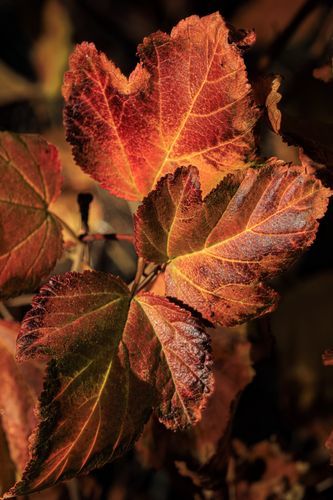 Mdawmdawmdawmdaw7qgraepd6cacehr zcfbfywxu2fyveayeunrgwctqqqltnerwweter6yomfiojy24adow ljj7f22f2vd2s3k0fn 38ezqodftc2xeuhdjufahdziomokxodj3hs jg da6ji5eudq olwagpj5emn4zjs3fpiojvwksrjpx1eb3owtxrzenz9ojup utybbk8arwk5qhwlnruxxfod6yx1lhpr9l onta8u4q ibbhy 8fouj2ekcyrnye gra3z4wvw8bvwwhrtnaknncovl4rdbvmvqdlu cpskmndcr1uyufqftkaek1ghajqkcqrkxnrksb7dxedamntvhwae2eha