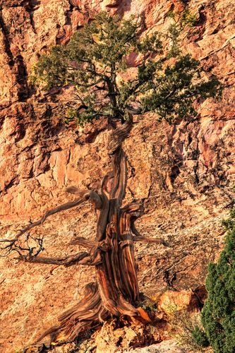 Mdawmdawmdawmdaw7qgraepd6cacehr zcfbfywxu2fyveayeunrgwctqqqltnerwweter6yomfiojy24adow ljj7f22f2vd2s3k0fn 38ezqodftc2xeuhdjufahdziomokxodj3hs jg da6ji5eudq olwagpj5emn4zjs3gpiojvmktsdfiwpd2phrarjenz9ojupcrqybsmngv3oxqhwlnruxxfof3z31lhpr9l onta8u4q ibbhy 8fouj2ekcyrnye gra3z4wvw8bvwwhrtnaknncovl4rdbvmvqdlu cpskmndcr1uyufqftkaek1ghajqkcqrkxnr92wyohdyysdiik6chbthq