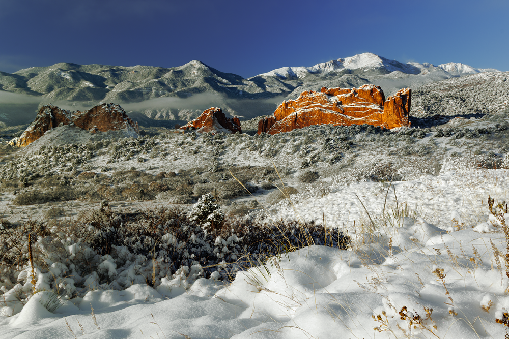 First Snow - Serene Winter Landscape Photography