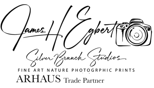 James H Egbert, Silver Branch Studios,   An ARHAUSE Trade Partner