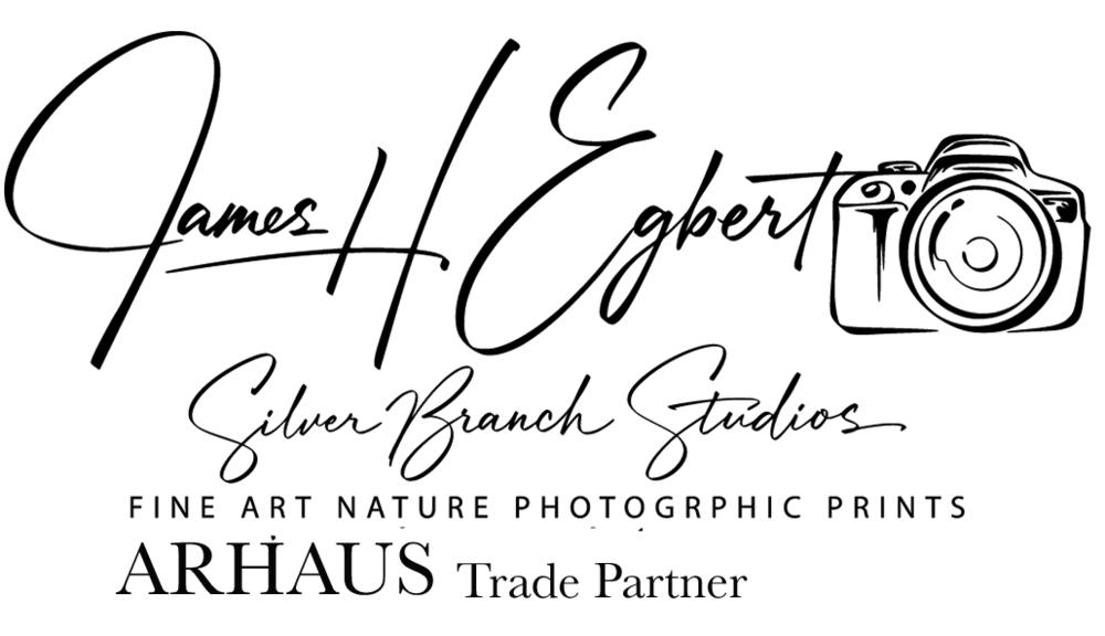 James H Egbert, Silver Branch Studios,   An ARHAUSE Trade Partner
