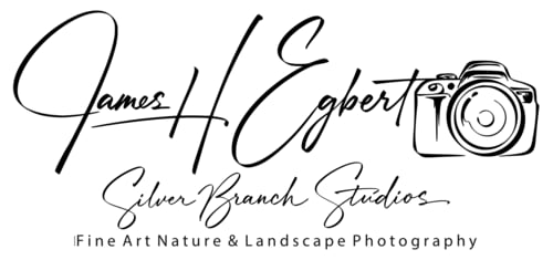 James H Egbert, Silver Branch Studios, 