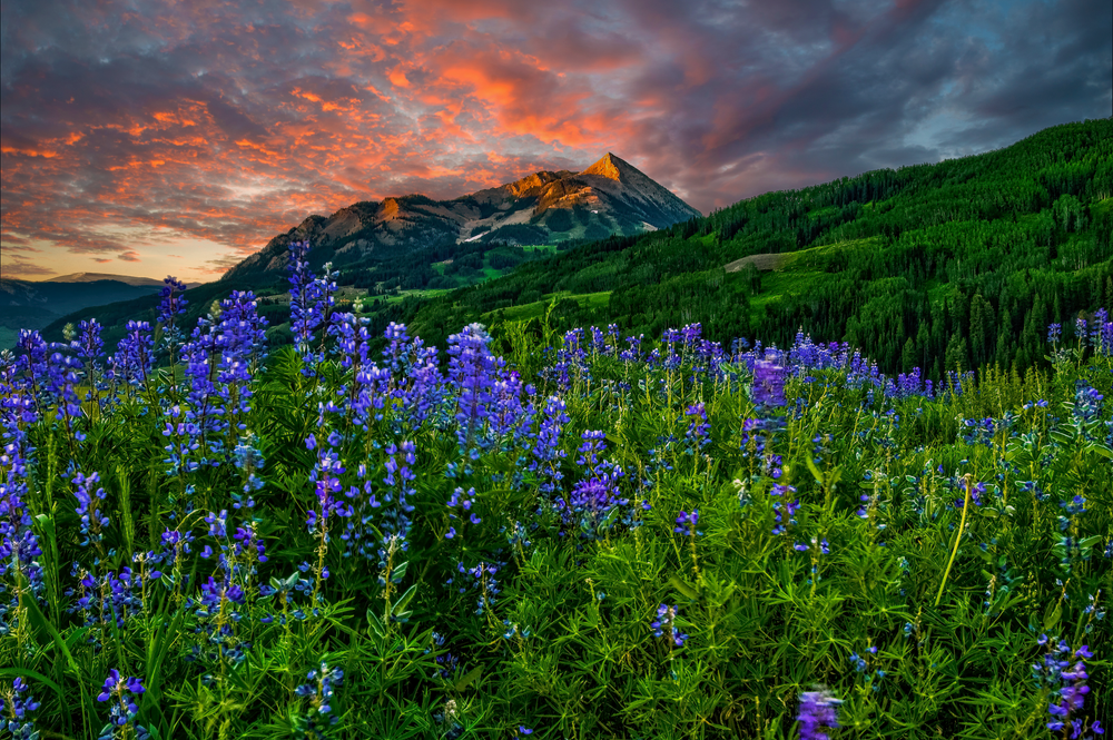 Sunrise Ablaze over Mount Crested Butte - Vibrant Landscape Photography