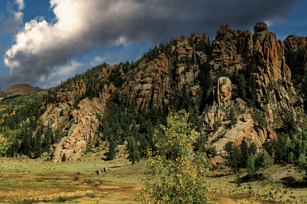 Cathedral Park Early Fall - Landscape Photography