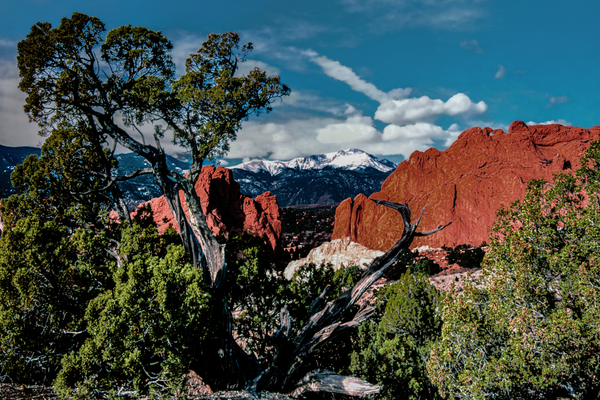 Colorado Gog Rattlesnake Velvia50 Jhe00016 Photography Art | James H Egbert's Silver Branch Studios