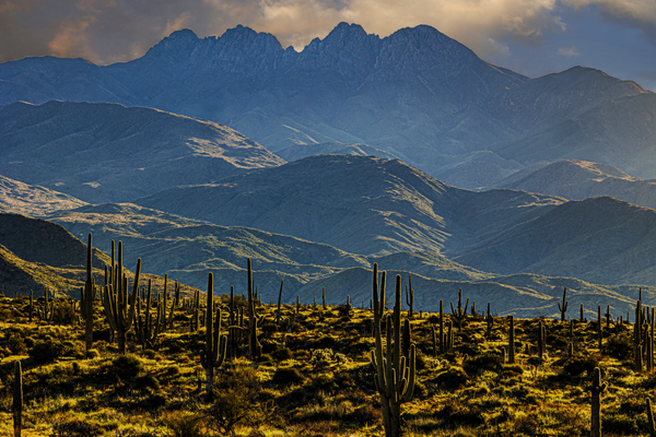 Four Peaks First Light - Dramatic Desert Landscape Photography
