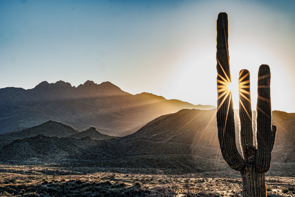 Desert Dawn - Serene Desert Landscape Photography