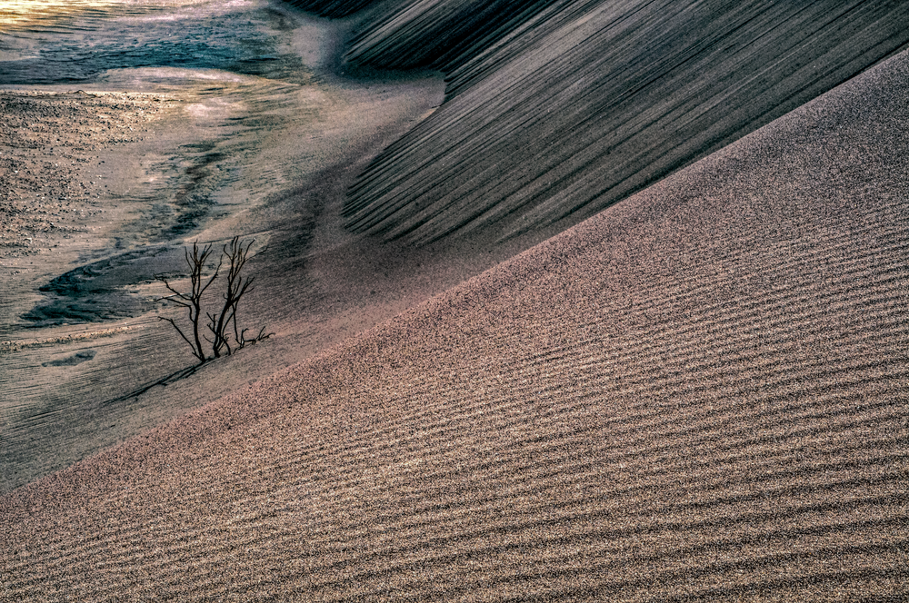 Desert Solitude - Fine Art Landscape Photography