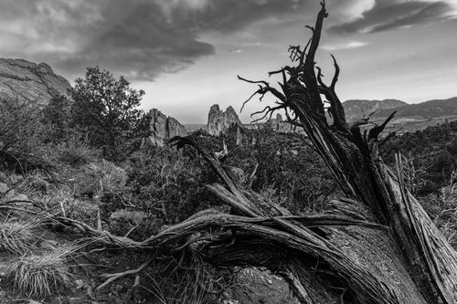 Mdawmdawmdawmdaw7qgraepd6cacehr zcfbfywxu2fyveayeunrgwctqqqltnerwweter6yomfiojy24adow ljj7f22f2vd2s3k0fn 38ezqodftc2xeuhdjufahdziomokxodj3hs jg da6ji5eudq olwagpj5emn5fw1qtxebfm3i wdrq1zwnrne3jvwiwaeqijiuje5ryop4mmyvh19h qhmful1y2en3ajrn  jualyvkv5bbr9 m5otiph3 q ezfutdtu18slxd0ef2gr xsmmp labp jbj3rgdzu uavazji4cq5djh8fspxb1xxhbe9pnuudmgdjayyrd4z9qfcj 6opo anzamz ouw