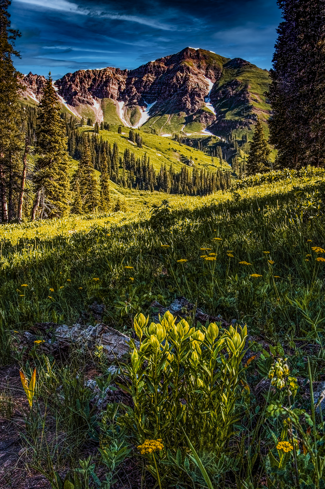 Mountain Meadow Serenity - Colorado Landscape Photography