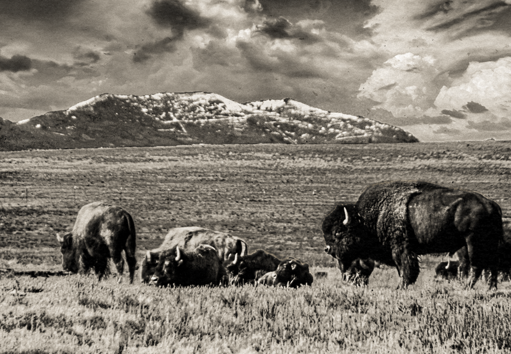 Home On The Range Antique Jhe00052 Photography Art | James H Egbert's Silver Branch Studios