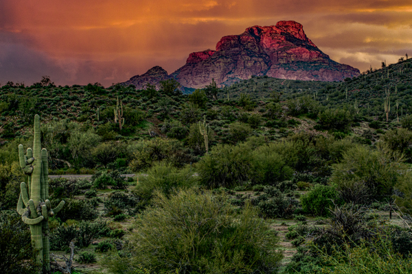 Desert Majesty - Dramatic Desert Landscape Photography