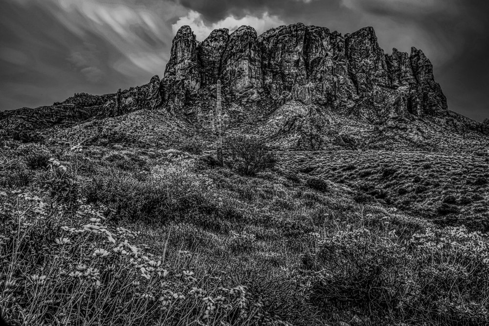 Superstition Dawn Blooms Bw Jhe0209 Photography Art | James H Egbert's Silver Branch Studios