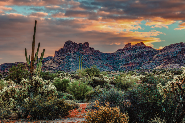 Desert Sunrise Serenade - Vibrant Landscape Photography