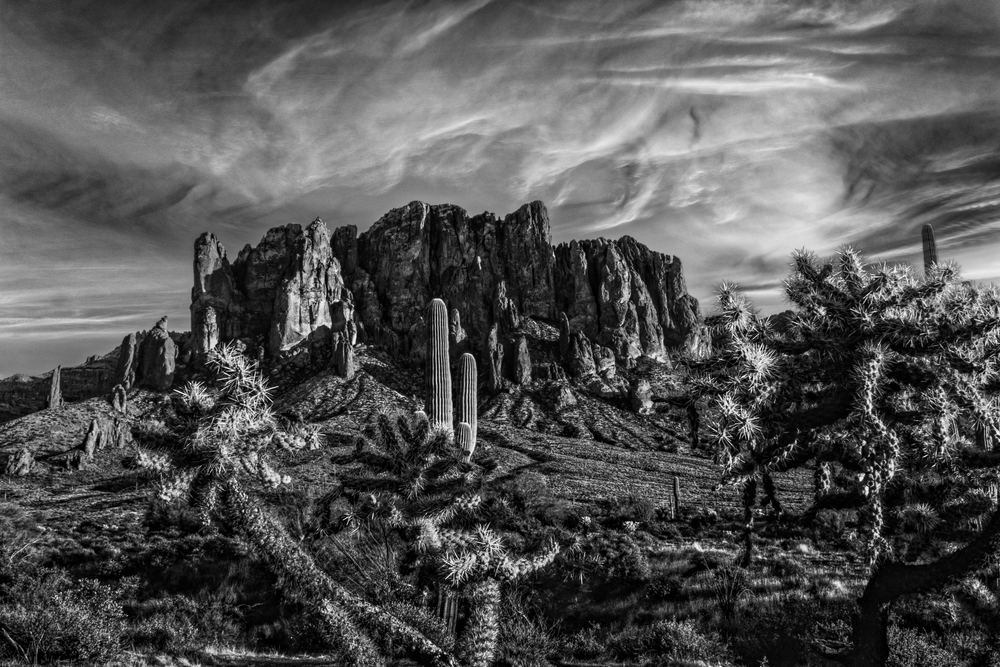 Superstitions Cholla Sunset Bw Jhe8333 Photography Art | James H Egbert's Silver Branch Studios