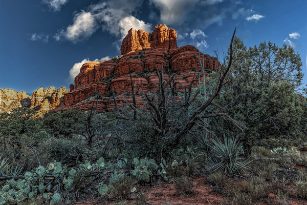 Desert Majesty - Colorado Red Rock Landscape Photography