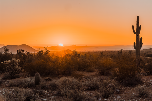 Desert Sunset Serenity - Fine Art Landscape Photography