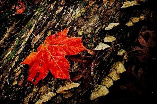 Mdawmdawmdawmdaw7qgraepd6cacehr zcfbfywxu2fyveayeunrgwctqqqltnerwweter6yomfiojy24adow ljj7f22f2vd2s3k0fn 38ezqodftc2xeuhdjufahdziomokxodj3hs jg da6ji5eudq olwagpj5emn5sq0 iuf3qm3w8tjpxz r ngvaup1uwdnavfxbblozl8y6hqhigw9iq d5eobsid1cylh9d6oyub0c rvgfqf65mz0hnt90l8zzy08vfo3mc6uw9keawgb 2qij8nrgf57j7g09gchfoyns1bho93 vjkn8xb3hovjsagdrep9rnibqc66mo7m w8wmqxheac