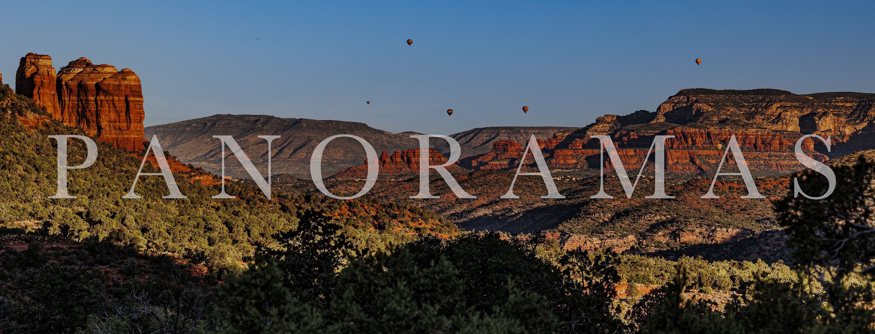 
        <div class='title'>
          PANORAMA GALLERY
        </div>
       