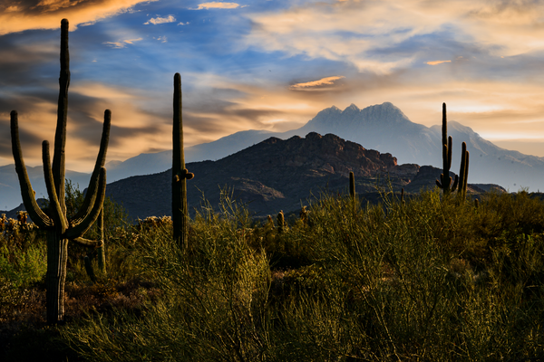 Desert Morning Shades - Stunning Desert Landscape Photography