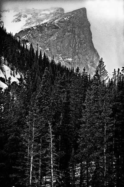 Dsc 0212mono Photography Art | James H Egbert's Silver Branch Studios