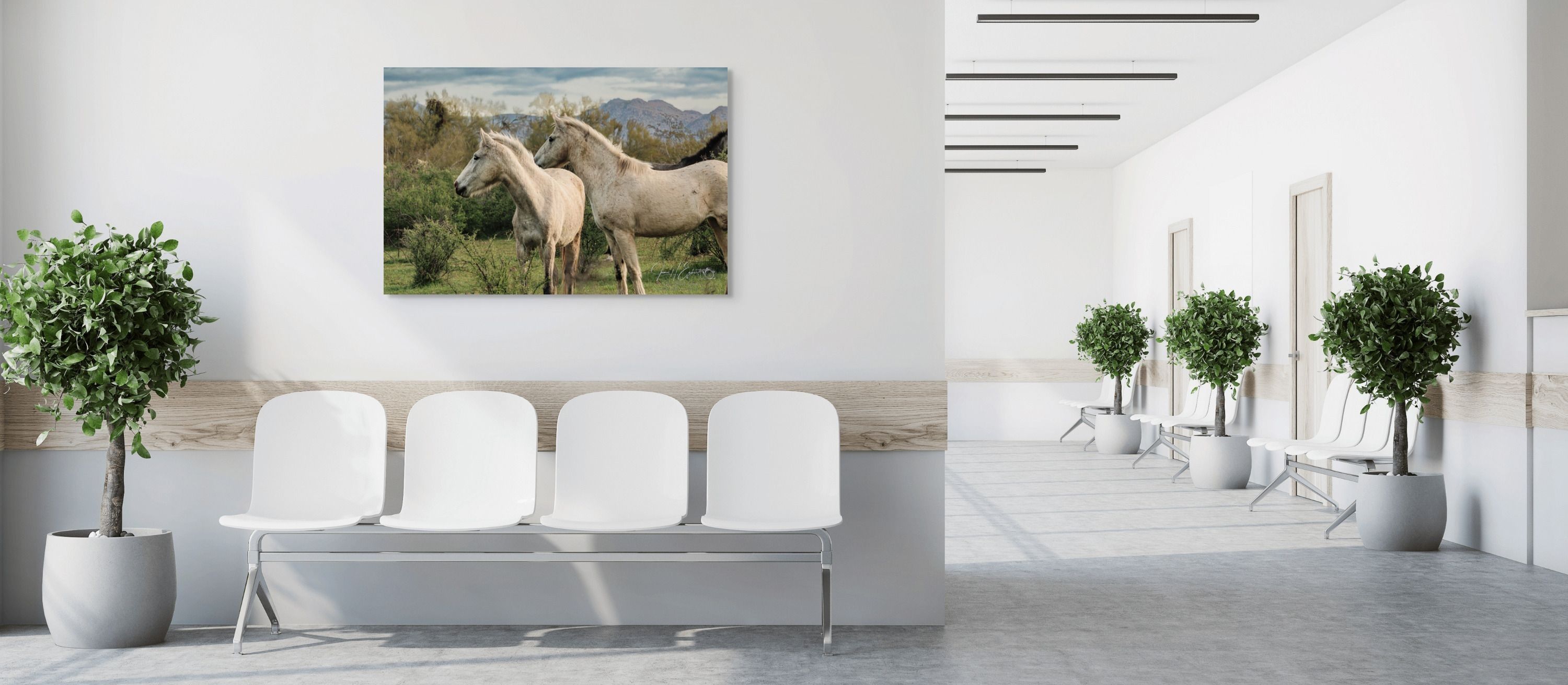 
        <div class='title'>
          salt river horses imgc0407
        </div>
       