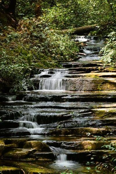 Landscape