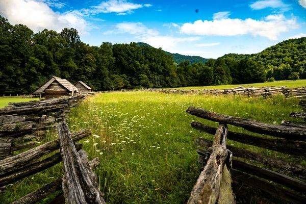 LANDSCAPE