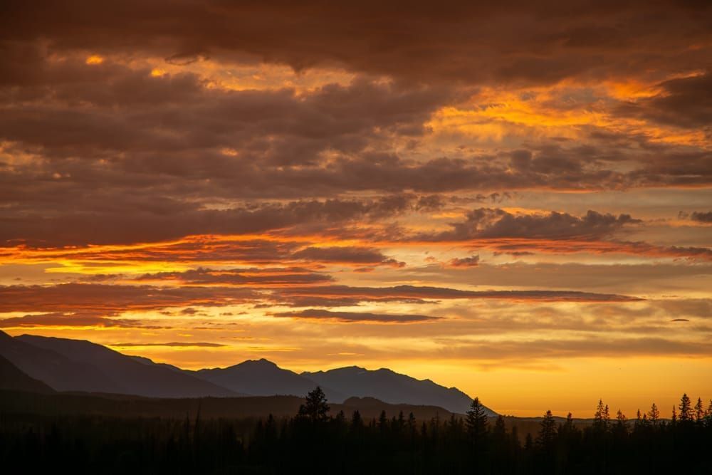 Golden Horizon - Tranquil Landscape Photography
