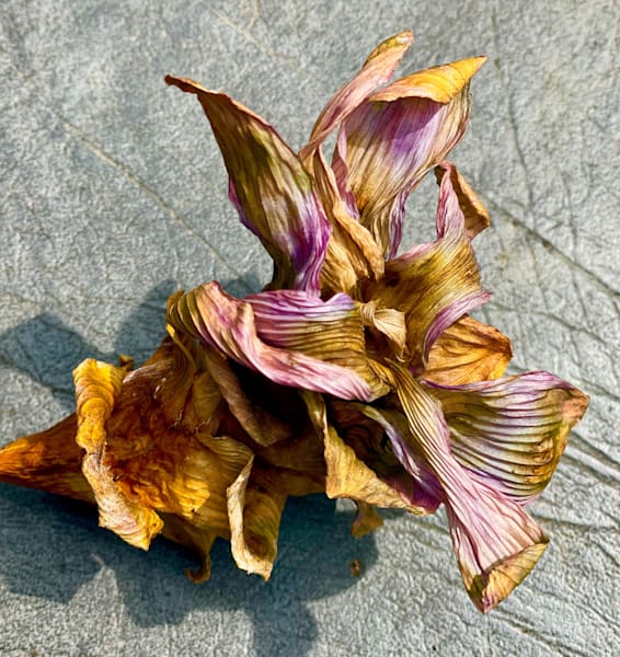 Leaves Left Alone