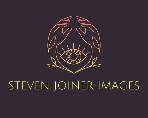 Steven Joiner Images and Imaginings