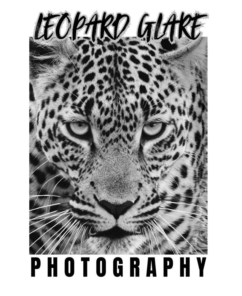 Mdawmdawmdawmdaw7qgraepd6cacehr zcfbfywxu2fyveayeunrgwctqqqltnerwweter6yomfiojy24adow ljj7f22f2vd2s3k0fn 38ezqodftc2xeuhdjufahdziomokxodj3hs jg da6ji5eudq olwagpj5emn5ozhgwemxigkxyaxht5c ird1mluemqdhaxf nrooy3mmnzrttdeoj 7i6qbqwltjpg kxcpppzrvy8rvib cpqcruusfsibfycyc4fqhkk8ilx8xid3nf9wmrgz labp jbj3rgdzu uavazji4cq5djh8fspwb1xqhir7ojbvzhuois4lyzwtec6zm6u6xbev8l gaw zijp7fy sbxlxb e6p1ml 0dyjrj6lgqra