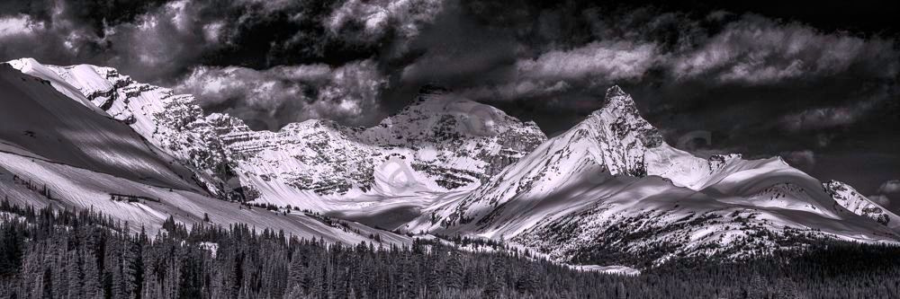 Welcome to the Icefields