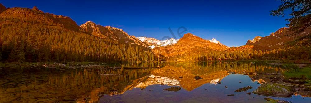 Evening Melody at Lake O'Hara