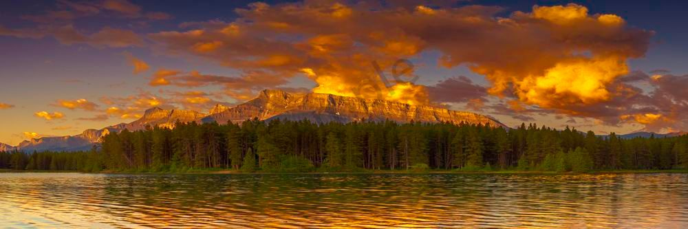 Shimmering Sunrise