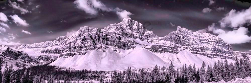 Majesty & Presence