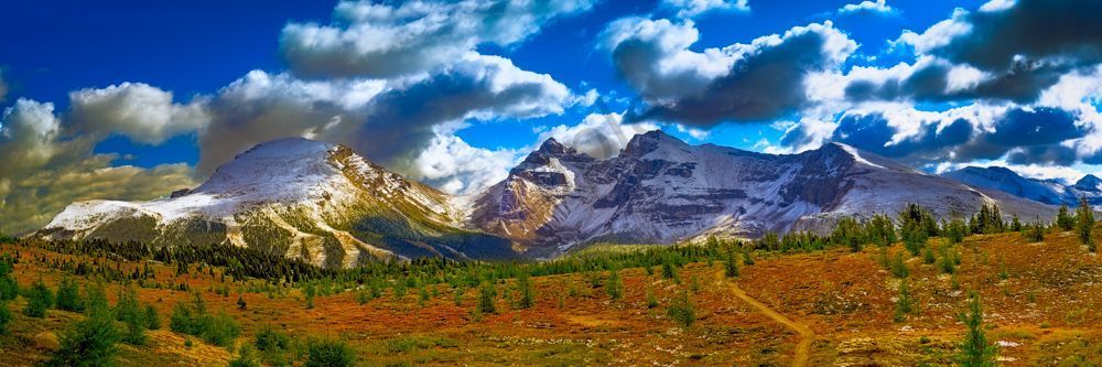 The Chill of an Early Fall
