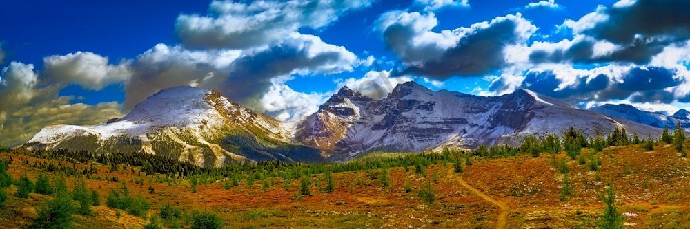 The Chill of an Early Fall