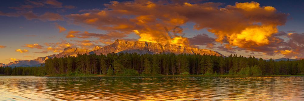 Shimmering Sunrise