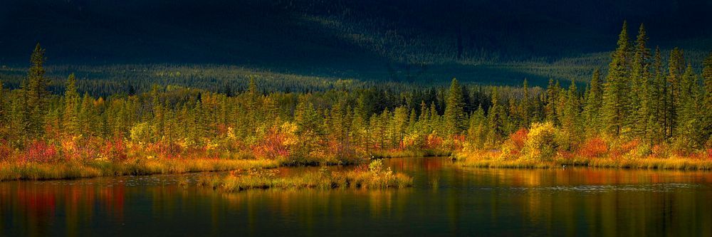 A Pond- decorated for Thanksgiving